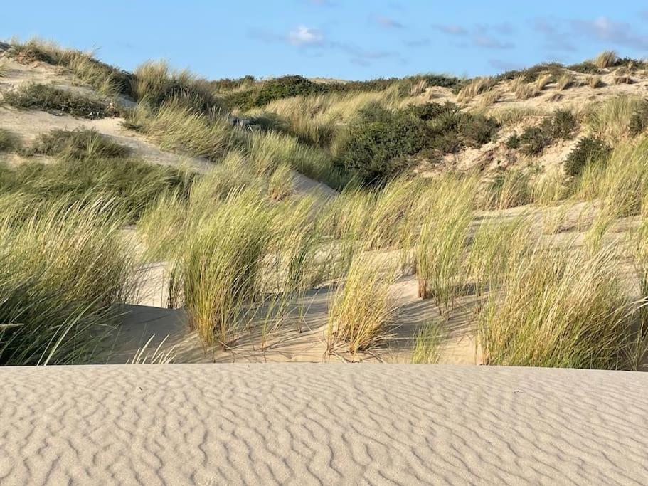 Charmante Maison Individuelle Proche Du Touquet Cucq Kültér fotó