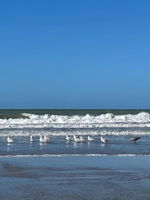 Charmante Maison Individuelle Proche Du Touquet Cucq Kültér fotó