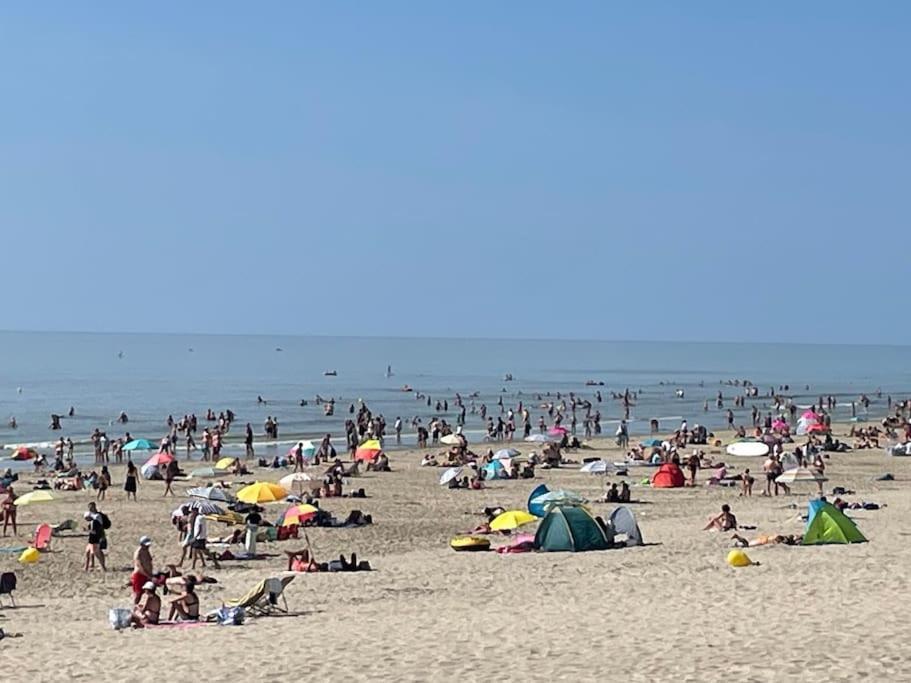 Charmante Maison Individuelle Proche Du Touquet Cucq Kültér fotó